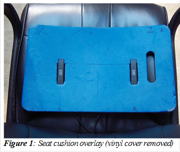  
Figure 1: Seat cushion overlay (vinyl cover removed)
